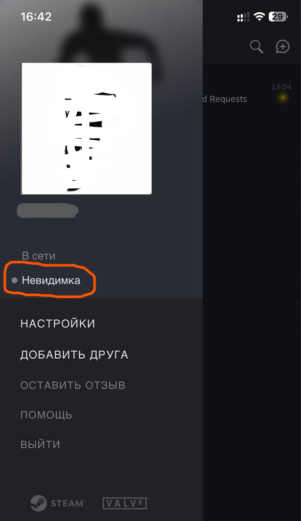 Включаем невидимку в мобильном приложении Steam Chat.